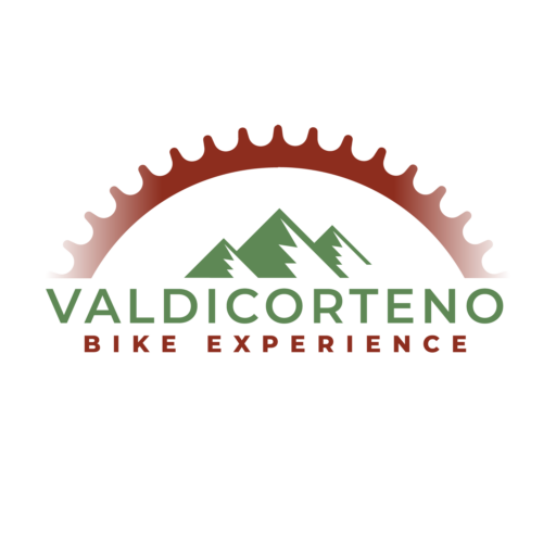 logo vbe